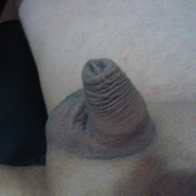 Rate Penis Pictures 49