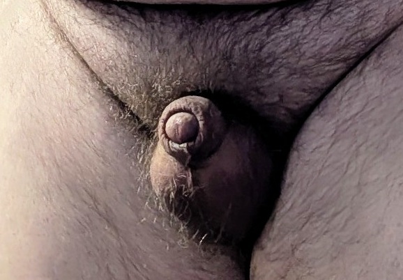 Rate this massive one.