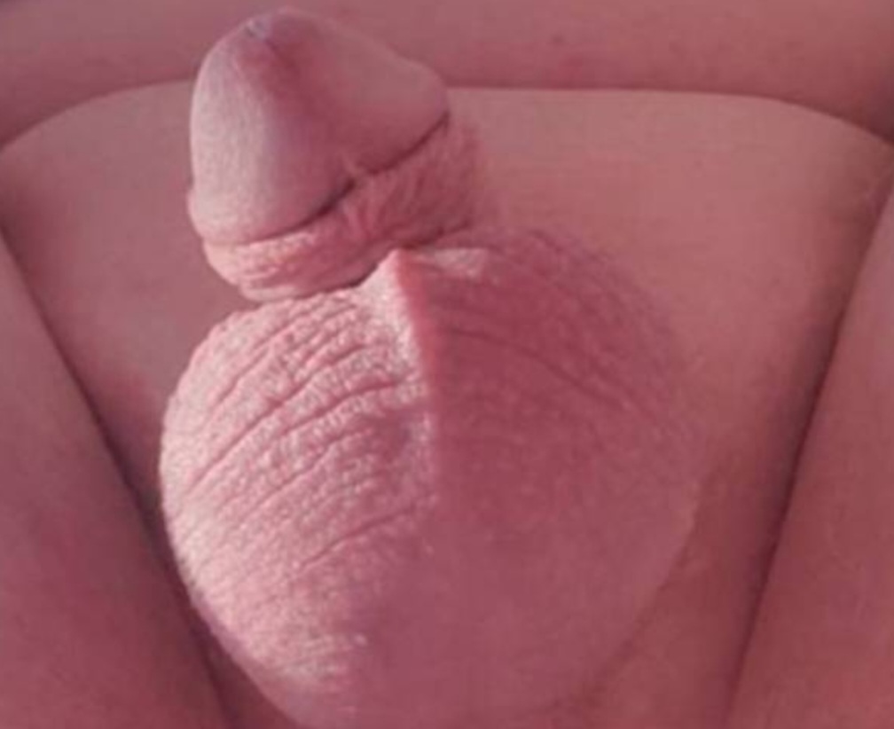 My Cute Microcock