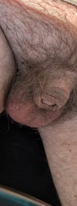 Pussy free micropenis proud